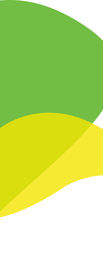 fondo mobile 5